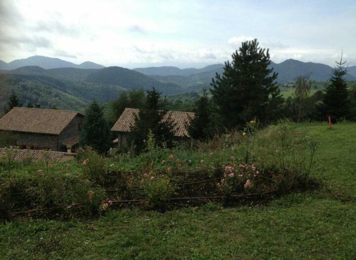 Casa Rural Mollo, Vall De Camprodon Exteriör bild