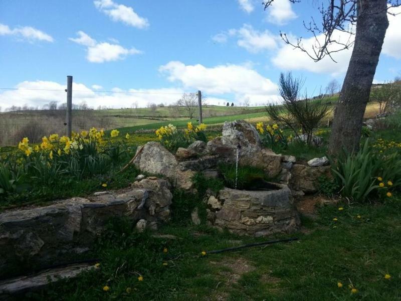 Casa Rural Mollo, Vall De Camprodon Exteriör bild